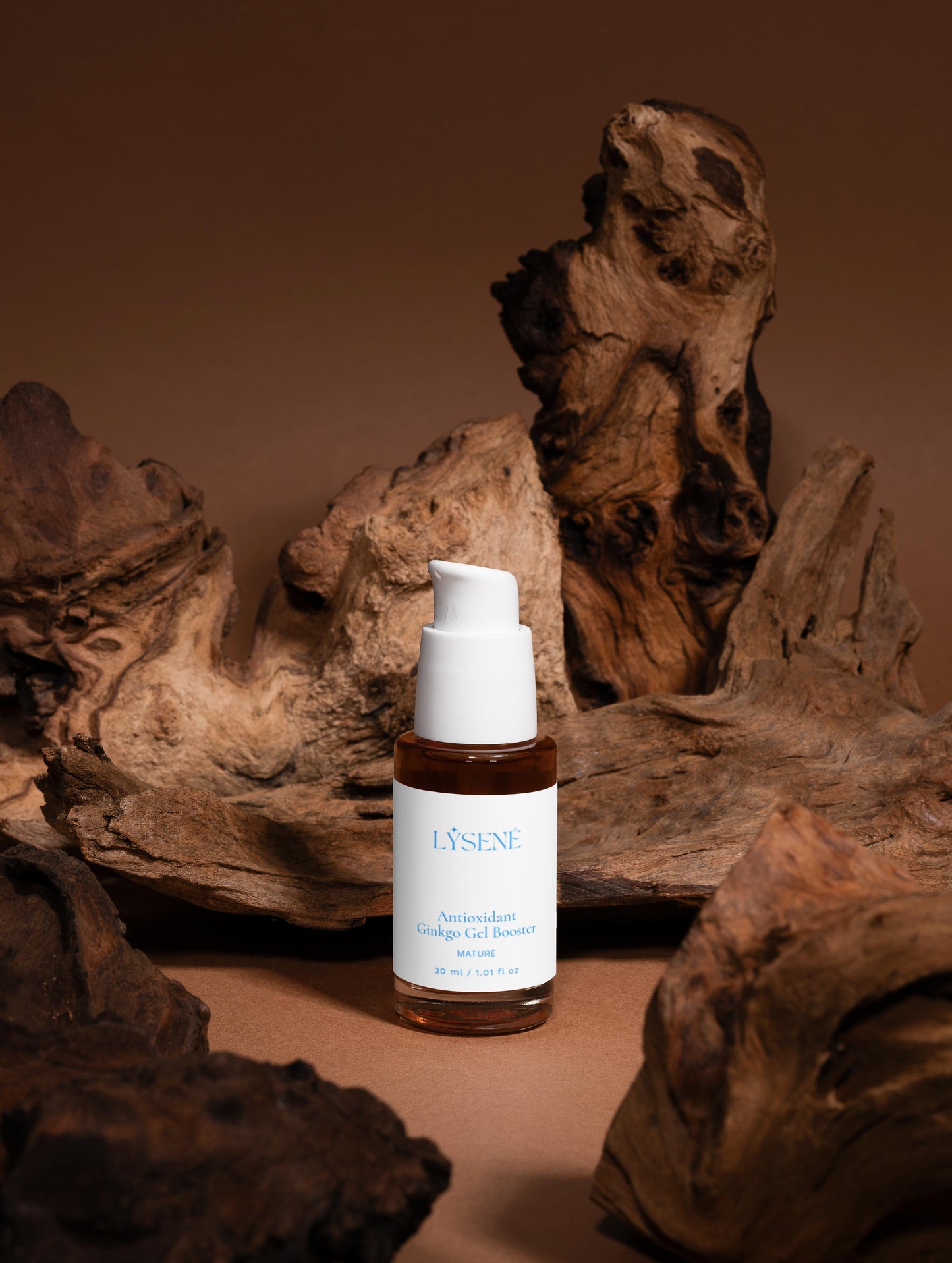 Antioxidant Ginkgo Gel Booster